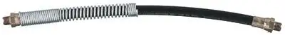 Lincoln Industrial 5818 Extension for Manually or Air-Operated Grease