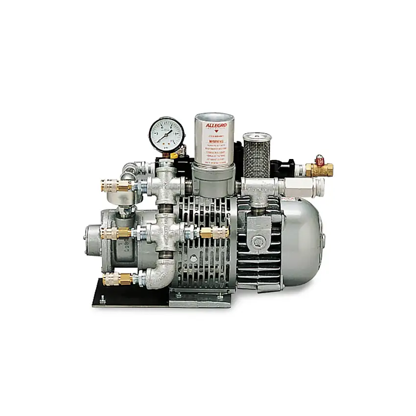 Allegro Industries A4000AD Ambient Air Pump