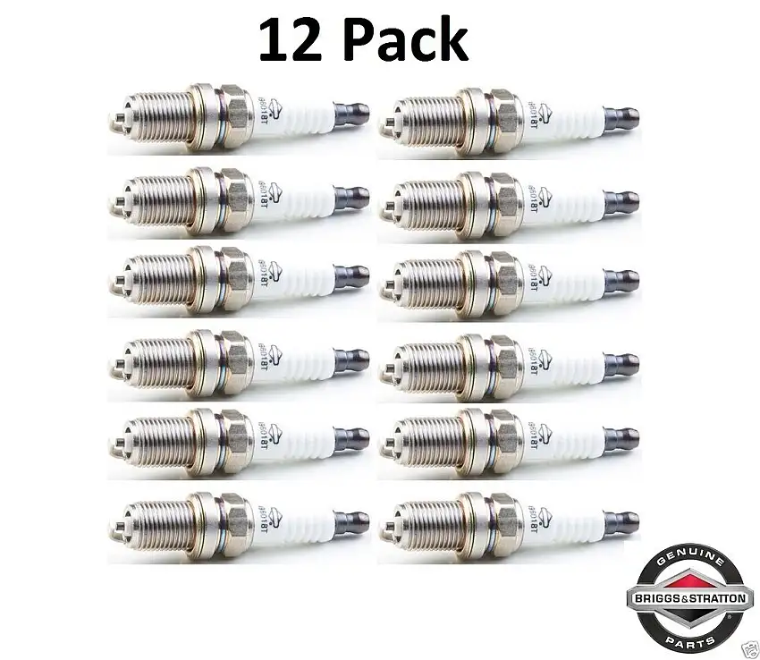 12 Pack Genuine Briggs & Stratton 496018 Spark Plug Fits Champion RC14YC OEM