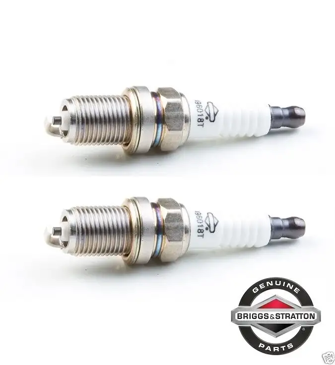 2 Pack Genuine Briggs & Stratton 496018 Spark Plug Fits Champion RC14YC OEM
