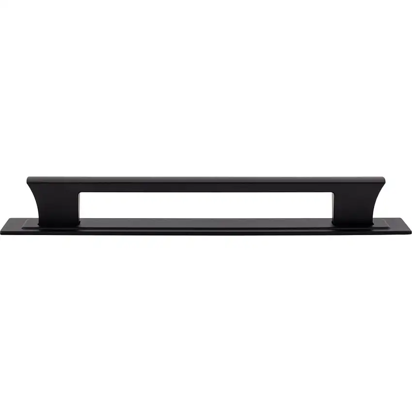 Atlas Homewares Zander Appliance Pull and Backplate