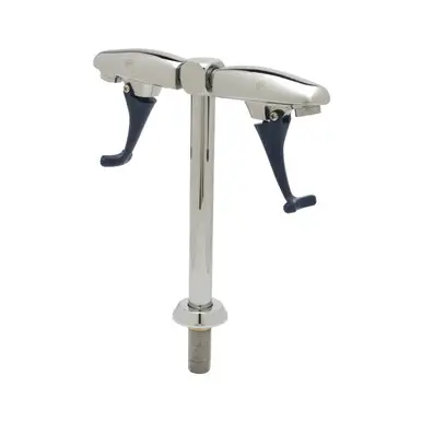 T&S Brass B-1215 Pedestal Push Back Double Glass Filler