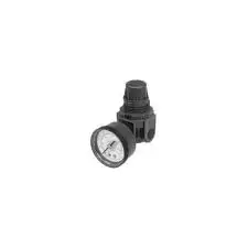 ARR262-S32 - Miniature Pressure Regulator (0-60 psi Range)