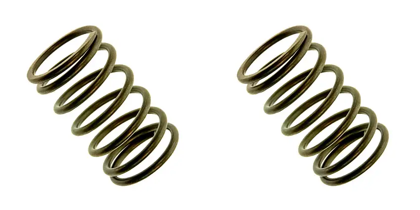 2 Pack Genuine Honda 14751-ZE1-000 Valve Spring OEM